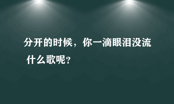 分开的时候，你一滴眼泪没流 什么歌呢？