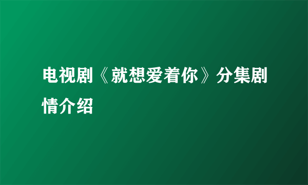 电视剧《就想爱着你》分集剧情介绍