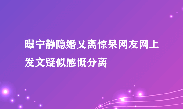 曝宁静隐婚又离惊呆网友网上发文疑似感慨分离