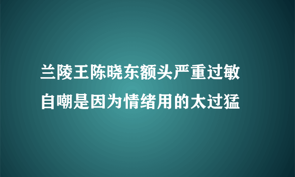 兰陵王陈晓东额头严重过敏 自嘲是因为情绪用的太过猛