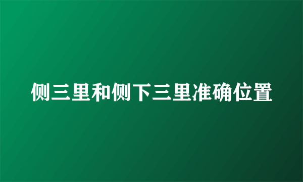 侧三里和侧下三里准确位置