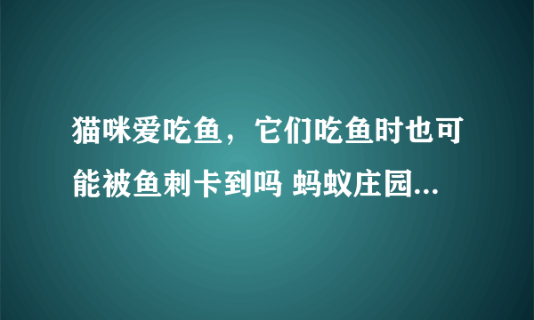 猫咪爱吃鱼，它们吃鱼时也可能被鱼刺卡到吗 蚂蚁庄园今日答案10月21日