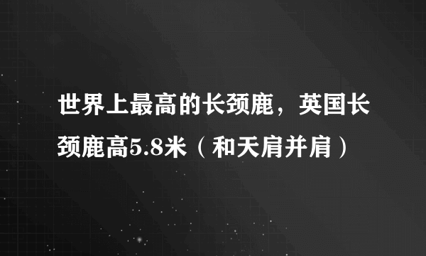 世界上最高的长颈鹿，英国长颈鹿高5.8米（和天肩并肩）