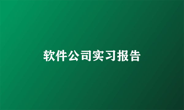 软件公司实习报告