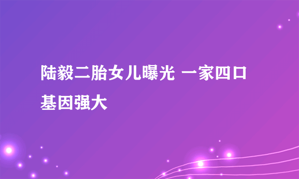 陆毅二胎女儿曝光 一家四口基因强大