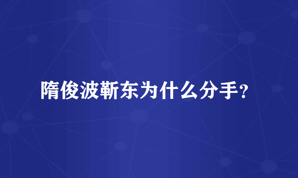 隋俊波靳东为什么分手？