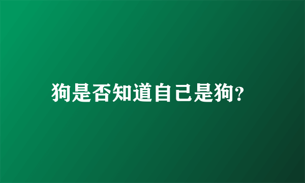 狗是否知道自己是狗？