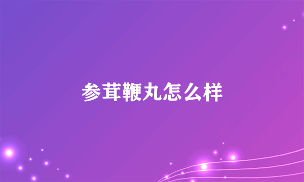 参茸鞭丸怎么样