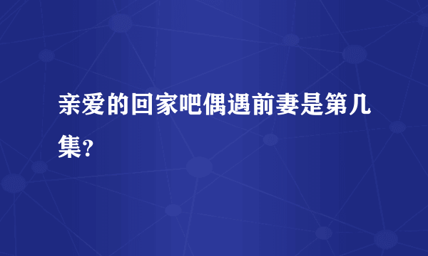 亲爱的回家吧偶遇前妻是第几集？