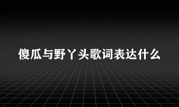 傻瓜与野丫头歌词表达什么