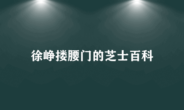 徐峥搂腰门的芝士百科