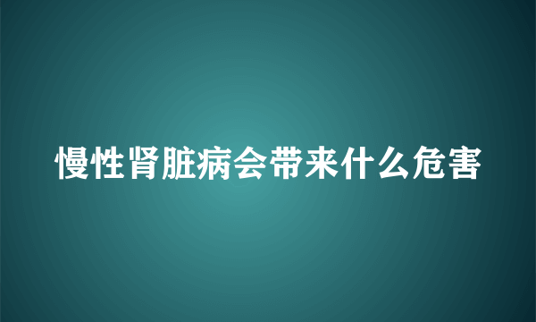 慢性肾脏病会带来什么危害