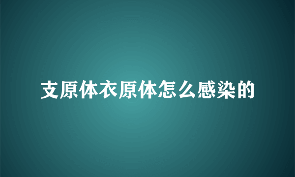 支原体衣原体怎么感染的