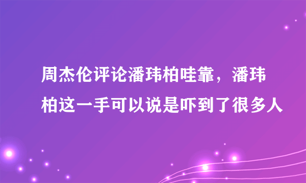 周杰伦评论潘玮柏哇靠，潘玮柏这一手可以说是吓到了很多人