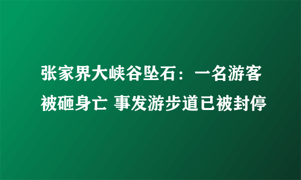 张家界大峡谷坠石：一名游客被砸身亡 事发游步道已被封停