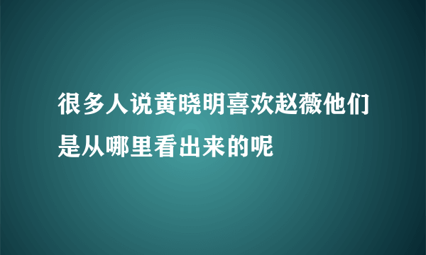 很多人说黄晓明喜欢赵薇他们是从哪里看出来的呢