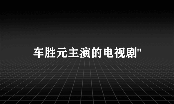 车胜元主演的电视剧