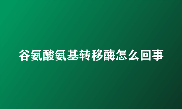 谷氨酸氨基转移酶怎么回事