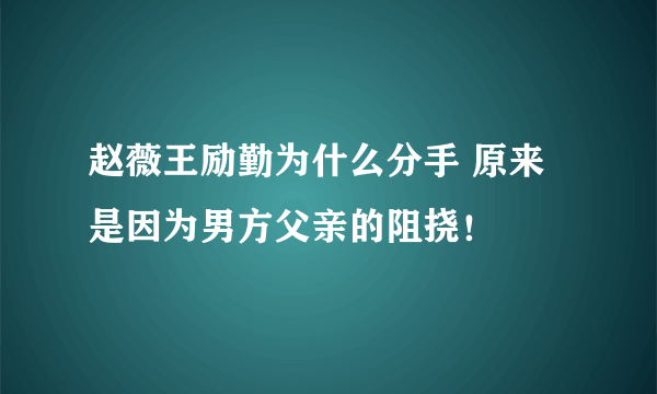 赵薇王励勤为什么分手 原来是因为男方父亲的阻挠！