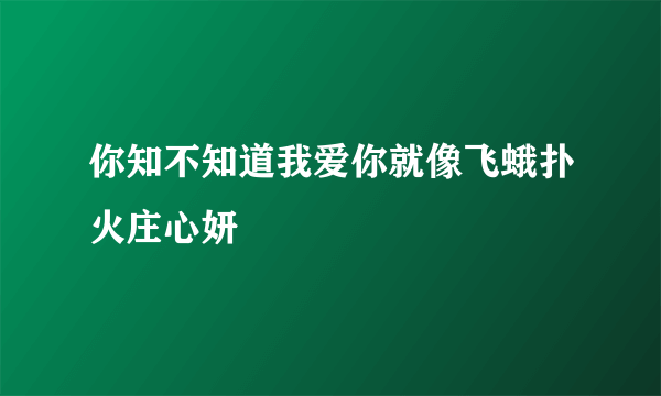 你知不知道我爱你就像飞蛾扑火庄心妍