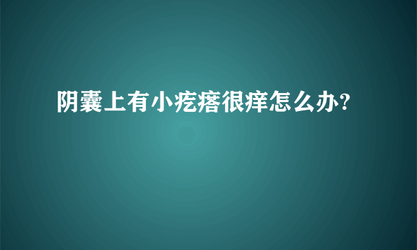 阴囊上有小疙瘩很痒怎么办?