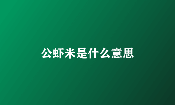 公虾米是什么意思