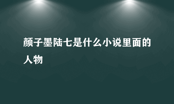 颜子墨陆七是什么小说里面的人物