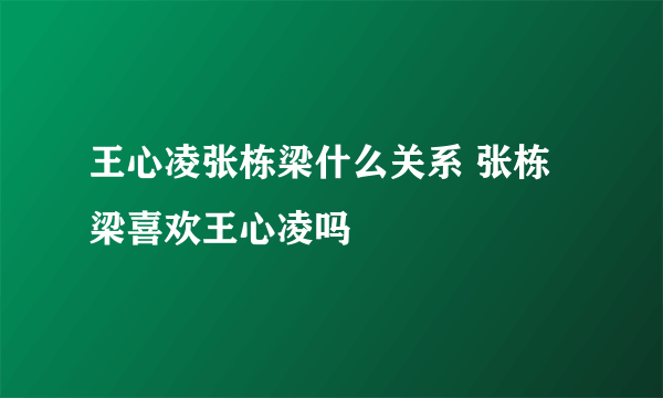 王心凌张栋梁什么关系 张栋梁喜欢王心凌吗