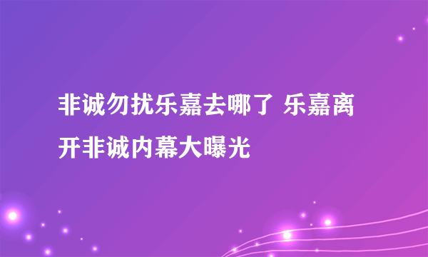 非诚勿扰乐嘉去哪了 乐嘉离开非诚内幕大曝光