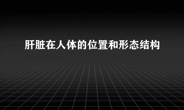 肝脏在人体的位置和形态结构