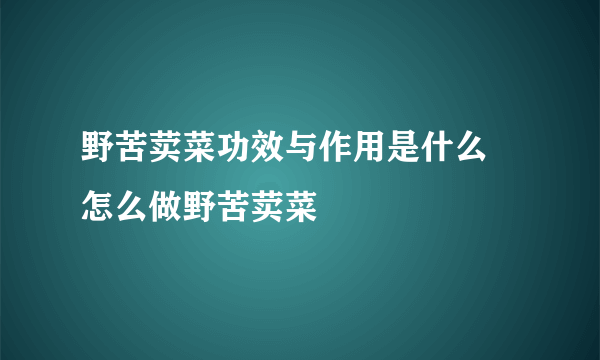 野苦荬菜功效与作用是什么 怎么做野苦荬菜