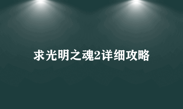 求光明之魂2详细攻略