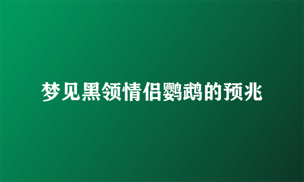 梦见黑领情侣鹦鹉的预兆