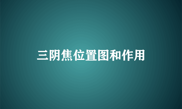 三阴焦位置图和作用