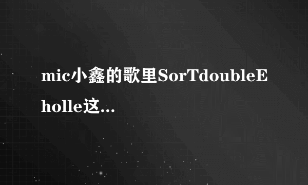 mic小鑫的歌里SorTdoubleEholle这句歌词是什么意思？