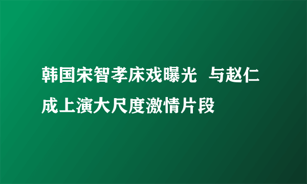 韩国宋智孝床戏曝光  与赵仁成上演大尺度激情片段