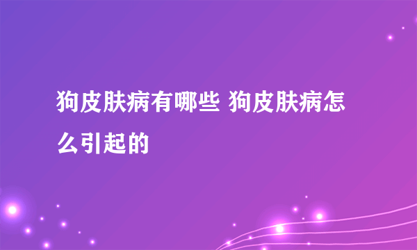 狗皮肤病有哪些 狗皮肤病怎么引起的