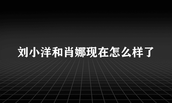 刘小洋和肖娜现在怎么样了