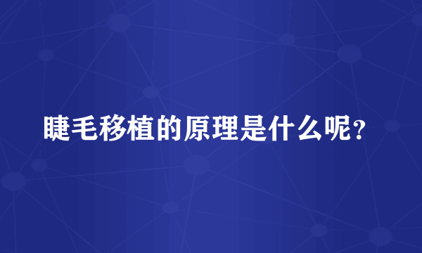 睫毛移植的原理是什么呢？