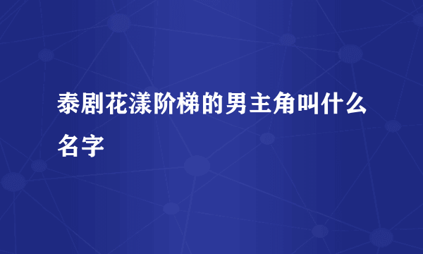 泰剧花漾阶梯的男主角叫什么名字