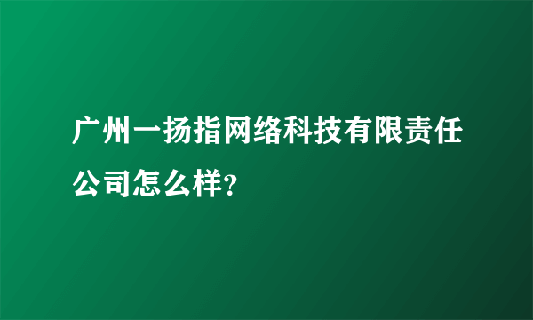 广州一扬指网络科技有限责任公司怎么样？