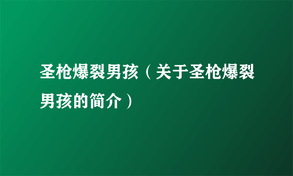 圣枪爆裂男孩（关于圣枪爆裂男孩的简介）