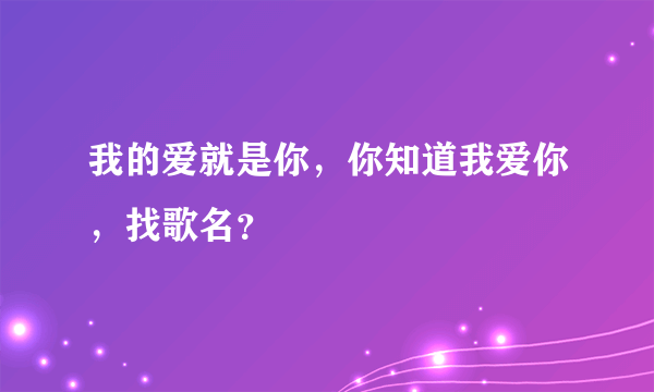 我的爱就是你，你知道我爱你，找歌名？