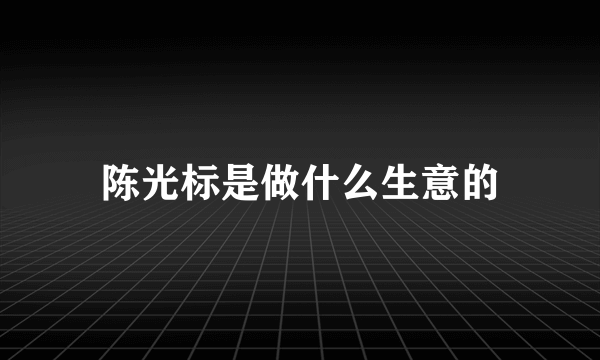 陈光标是做什么生意的