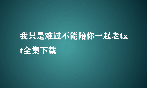 我只是难过不能陪你一起老txt全集下载