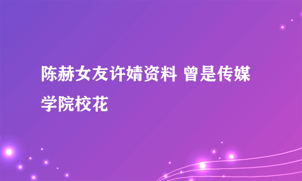 陈赫女友许婧资料 曾是传媒学院校花