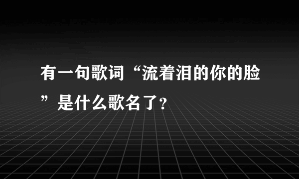 有一句歌词“流着泪的你的脸”是什么歌名了？