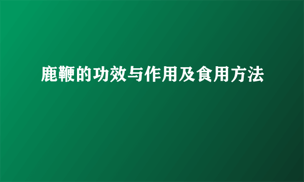 鹿鞭的功效与作用及食用方法