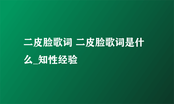 二皮脸歌词 二皮脸歌词是什么_知性经验