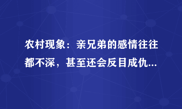 农村现象：亲兄弟的感情往往都不深，甚至还会反目成仇是为何？